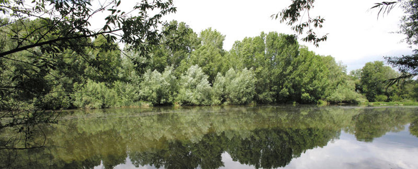 Pesca a mosca en Anglés